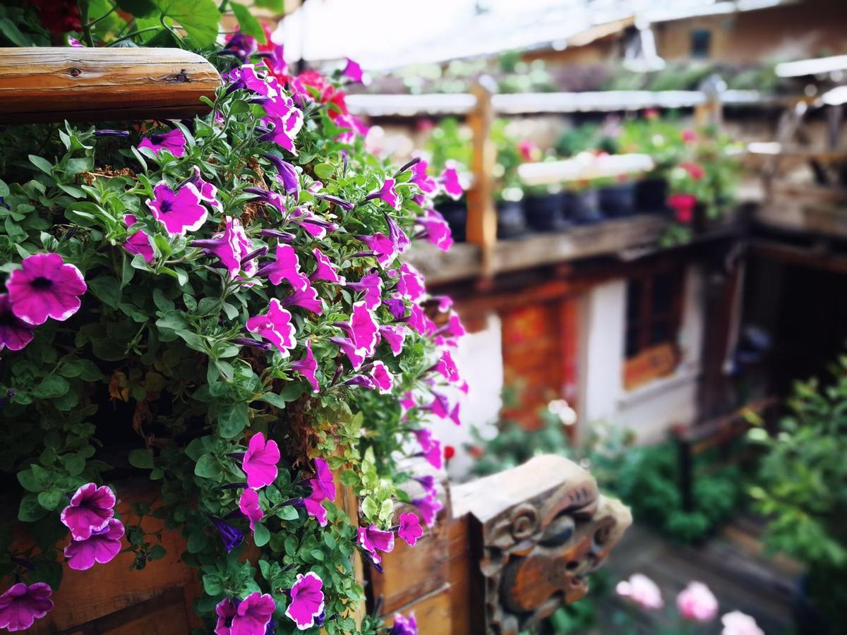Courtyard Shangri-La 藏舍小院 ภายนอก รูปภาพ