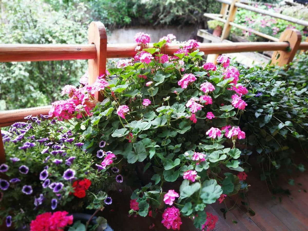 Courtyard Shangri-La 藏舍小院 ภายนอก รูปภาพ